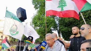 بالصور: مسيرة  حاشدة في صيدا تقدمها النائب أسامة سعد دعما للشعب الفلسطيني ومقاومته ضد الإحتلال الصهيوني