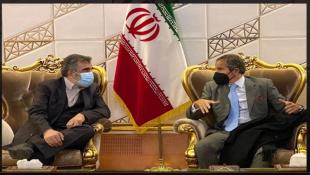 مدير الوكالة الدولية للطاقة الذرية: نريد تعزيز التعاون مع إيران