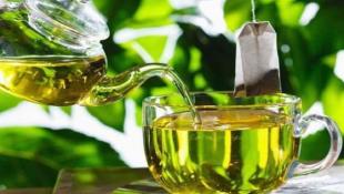 أيهما أكثر فائدة الشاي الأخضر أم الشاي بالحليب؟.. العلم يجيب