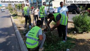 بالصور: د.بديع:  بلدية صيدا باشرت حملة تنظيف الوسطيات والمستديرات بدعم مشكور من صندوق التكافل