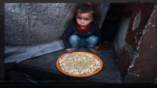 الأمم المتحدة: عدد الأطفال القتلى في غزة يفوق عددهم خلال أربعة أعوام من النزاعات في العالم