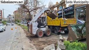 بالصور : بلدية صيدا  تشرف على  أعمال صيانة  وتشجير وسطية شارع حسام الدين الحريري من  تقاطع إيليا وحتى دوارالقناية