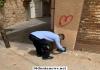 بالصور:  بلدية صيدا - لجنة الصحة  تتابع خطتها لمكافحة القوارض في صيدا القديمة وتدعو المواطنين للحفاظ على الأفخاخ والتجهيزات