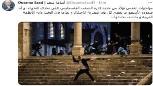 النائب أسامة سعد على تويتر: مواجهات القدس تؤكد قدرة الشعب الفلسطيني على تحدي العدوان وتعري الأنظمة العربية