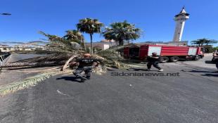 بالصور: جمعية أعمالنا تُجري أعمال صيانة في حديقة ساحة شهداء صيدا  بعد تحطم جزئي في سور الحديقة جراء سقوط شجرة نخيل
