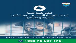 لجنة الصحة في بلدية صيدا برئاسة د. تيسير بلال الزعتري  تحضر لإنطلاق المرحلة الثانية في مشروع مأوى الكلاب الشاردة  في المدينة