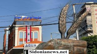 بالصور: مؤسسة أبو مرعي بالتعاون مع بلدية الهلالية ترفعان الأعلام احتفاء بعيد الاستقلال الـ 82