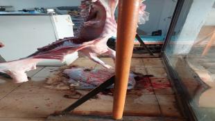 مصلحة الاقتصاد في الجنوب : محضر ضبط بحق صاحب ملحمة في الصرفند لعدم التزامه أدنى معايير السلامة الغذائية