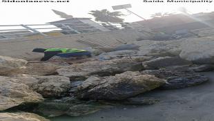 بالصور: بلدية صيدا تتابع خطة لجنة البيئة في البلدية وتنظم لليوم الثالث حملة نظافة في مرفأ الصيادين ومحيط القلعة البحرية وتشكر شركتي NTCC و IBC