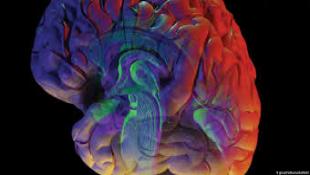 دراسة: التمارين الهوائية تصغر عمر الدماغ بمقدار عام كامل