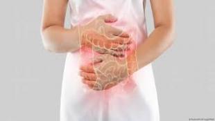 دراسة تكشف عن علاقة شيخوخة الأمعاء بتدهور القدرات الإدراكية