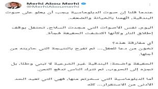 مرعي أبو مرعي على منصة أكس : الدبلوماسية التي سخرتم منها هي التي تعيد الحد الأدنى من الاستقرار… كله