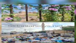بالفيديو والصور :  صيدا الجميلة ومنطقتها تغرق بالنفايات ومعمل المعالجة  يغرق في ديونه ويتهم متسائلا: إسألوا وزارة المال لماذا لا تدفع مستحقاتنا عن 2024 برغم قرار مجلس الوزراء