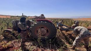 بالصور : الجيش اللبناني  يتلف حوالي 60 دنمًا من حشيشة الكيف المزروعة في بلدة الكنيسة – بعلبك ويوقف 17 عاملًا فيها